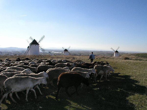 Molinos de Viento en Campo de Criptana